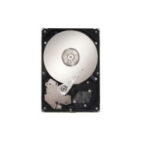 Seagate Constellation 160GB (ST9160511NS)